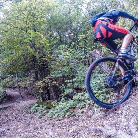 Fahrtechniktraining MTB