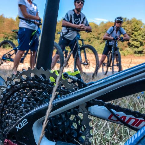 Fahrtechniktraining MTB