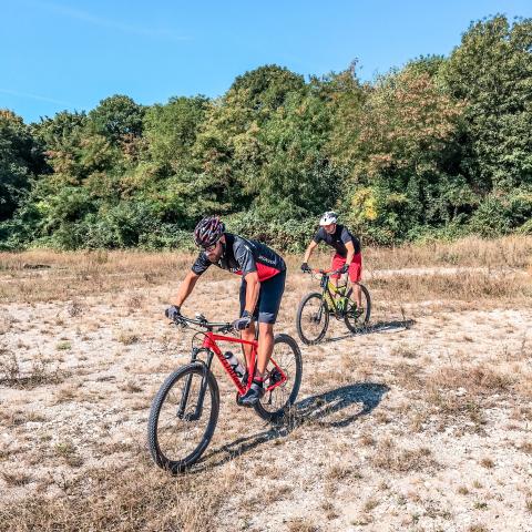 Fahrtechniktraining MTB